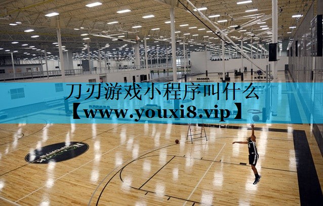 刀刃游戏小程序叫什么