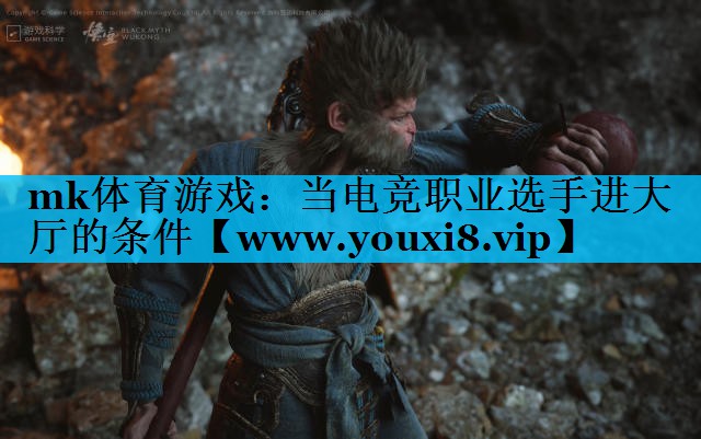 mk体育游戏：当电竞职业选手进大厅的条件