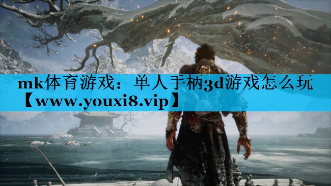 mk体育游戏：单人手柄3d游戏怎么玩