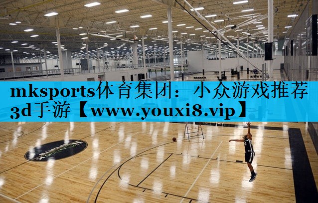 mksports体育集团：小众游戏推荐3d手游
