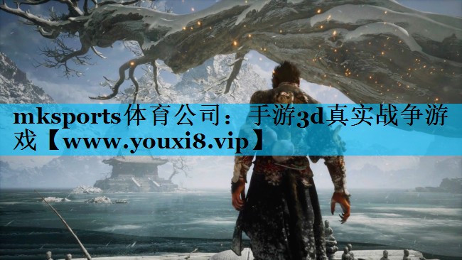 mksports体育公司：手游3d真实战争游戏