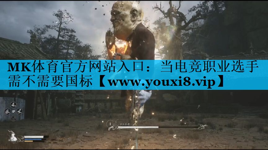 MK体育官方网站入口：当电竞职业选手需不需要国标