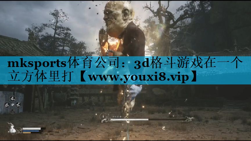 mksports体育公司：3d格