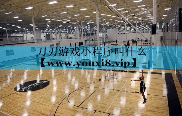 刀刃游戏小程序叫什么
