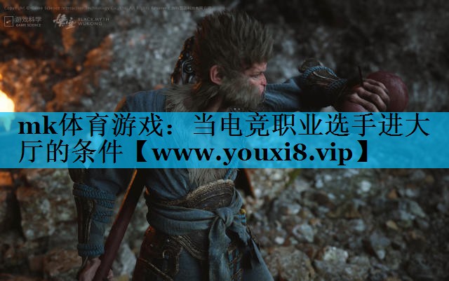 当电竞职业选手进大厅的条件