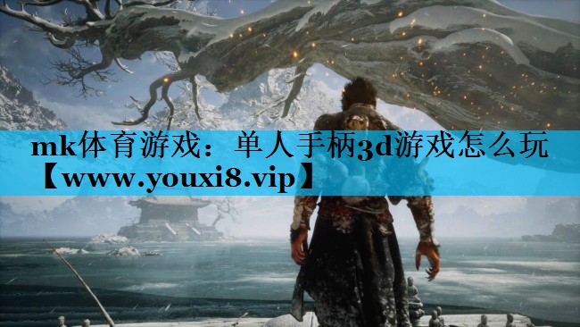 单人手柄3d游戏怎么玩