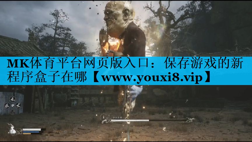 保存游戏的新程序盒子在哪