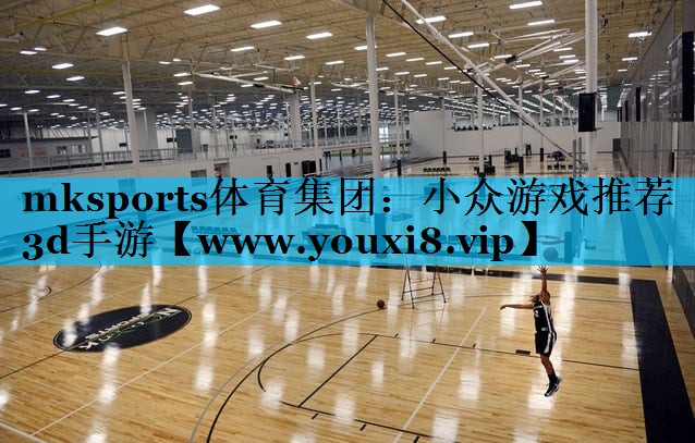 小众游戏推荐3d手游
