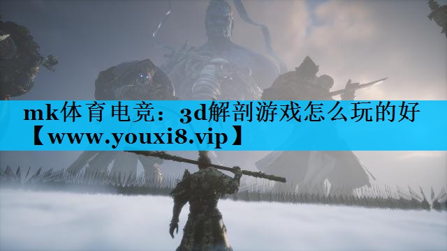 3d解剖游戏怎么玩的好