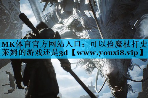 可以捡魔杖打史莱姆的游戏还是3d