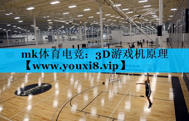 3D游戏机原理