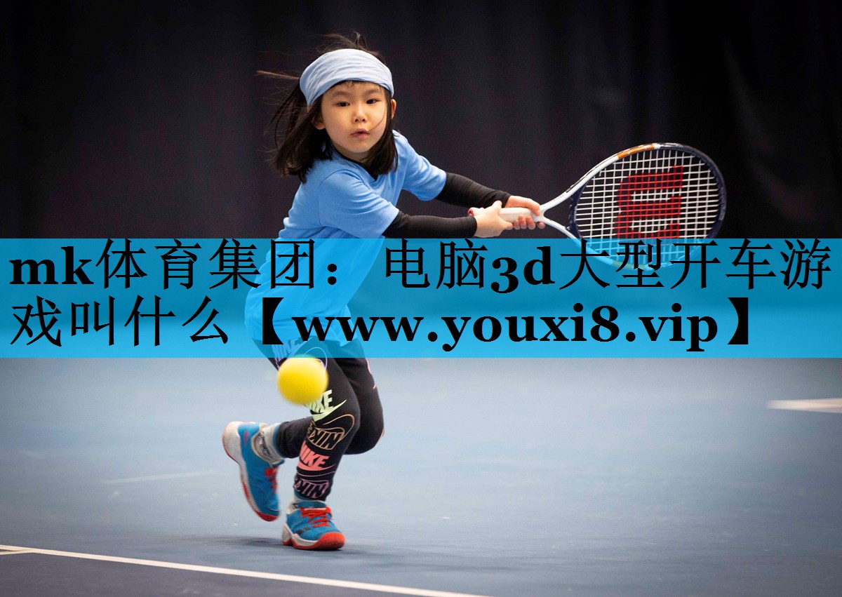 电脑3d大型开车游戏叫什么